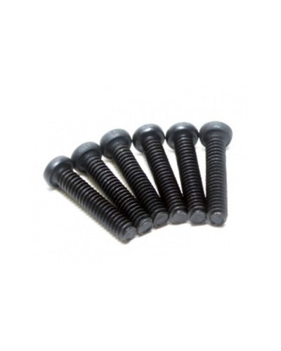 Винт с полукруглой головкой M2X10 под крестовую отвертку, 6шт.