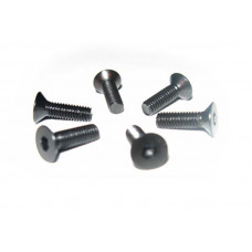 Винт с потайной головкой M3x10 под шестигранник, 6шт.