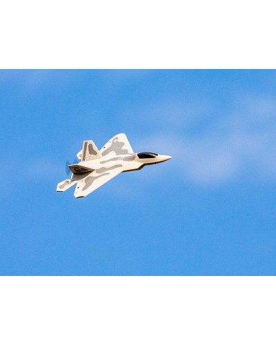 Радиоуправляемый самолет Volantex RC F22 400мм 2.4G 4ch LiPo RTF with Gyro