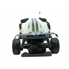 Р/У багги "Crazy Bullfighter" 1/16