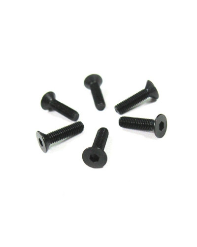 Винт с потайной головкой M3x12 под шестигранник, 6шт.