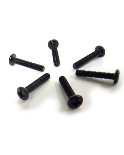 Винт M3x16 под крестовую отвёртку 6шт.