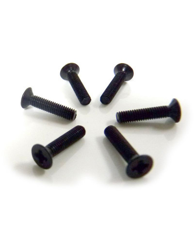 Винт потайной M3x14 под крестовую отвёртку 6шт.