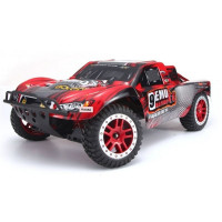 Чехол для Шорт Корса RE ммO HOBBY 9emu 4WD для Remo Hobby 1/8 зимний