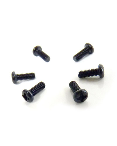 Винт с полукруглой головкой M3x8 под крестовую отвёртку 6шт.