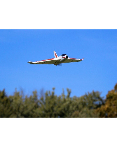 Самолет E-Flite Delta Ray One 500мм с технологией SAFE, электро, RTF