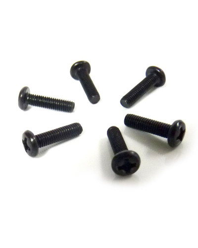 Винт M3x12 под крестовую отвёртку 6шт.