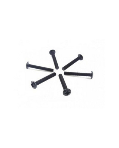 Винт с полукруглой головкой M3x20 под крестовую отвертку, 6шт.