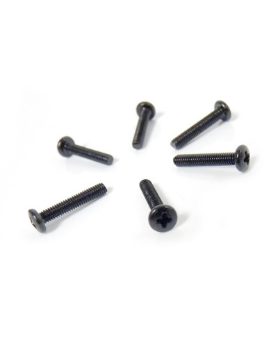 Винт с полукруглой головкой M2.5x14 под крестовую отвёртку 6шт.