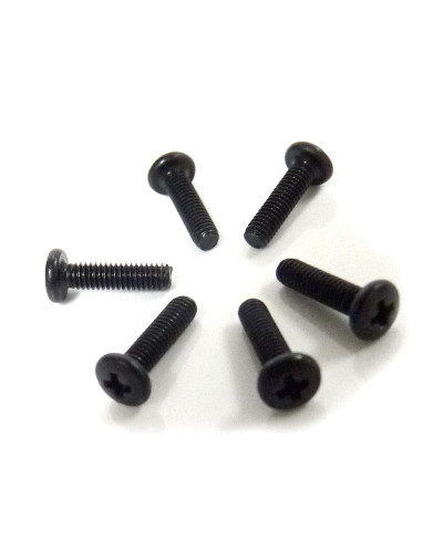 Винт M2,5x10 под крестовую отвёртку 6шт.