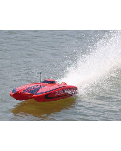 Радиоуправляемый катамаран ProBoat Blackjack 24 Brushless RTR