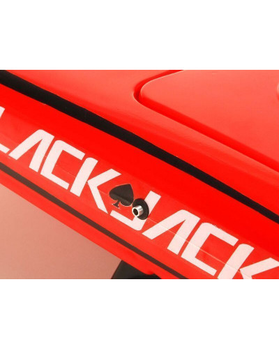 Радиоуправляемый катамаран ProBoat Blackjack 24 Brushless RTR