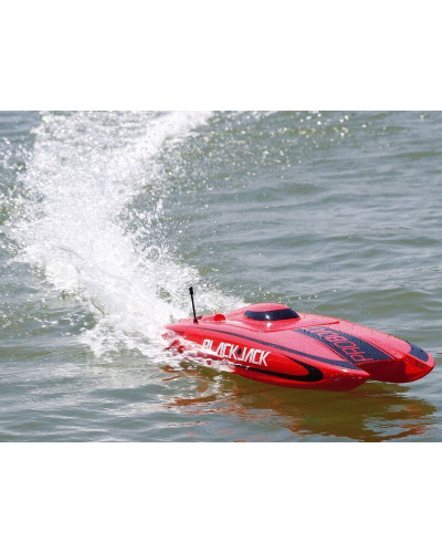Радиоуправляемый катамаран ProBoat Blackjack 24 Brushless RTR