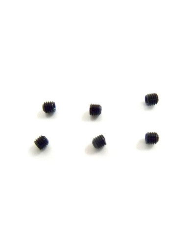 Установочный винт M3X3 6шт.