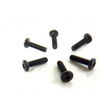 Винт с полукруглой головкой M2.5x10 под крестовую отвёртку 6шт.