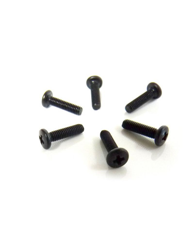 Винт с полукруглой головкой M2.5x10 под крестовую отвёртку 6шт.