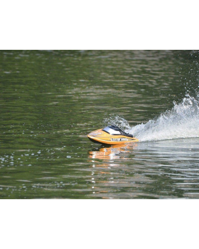 Радиоуправляемый катер Volantex RC Vector SR80 PRO Brushless 2.4G ARTR