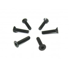 Винт с потайной головкой M3x14 под шестигранник, 6шт.