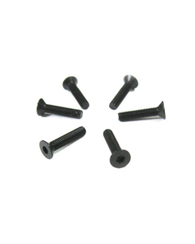 Винт с потайной головкой M3x14 под шестигранник, 6шт.