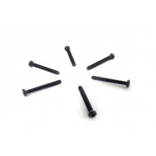 Винт с полукруглой головкой M2.5x20 под крестовую отвёртку 6шт.