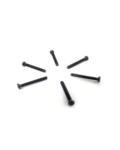 Винт с полукруглой головкой M2.5x20 под крестовую отвёртку 6шт.