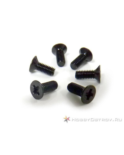 Винт с потайной головкой M3x10 под крестовую отвертку 6шт.