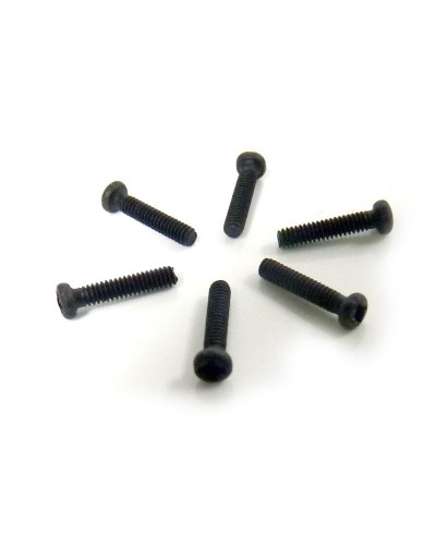 Винт M2x10 под крестовую отвёртку 6шт.