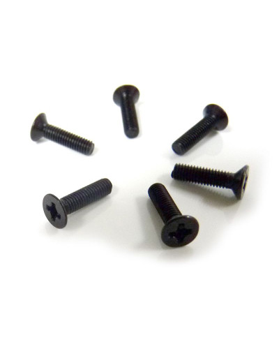 Винт потайной M3x12 под крестовую отвёртку 6шт.