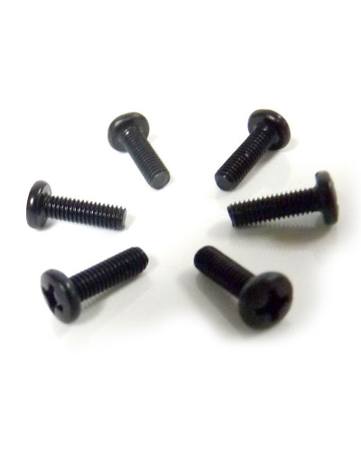 Винт M3x10 под крестовую отвёртку 6шт.