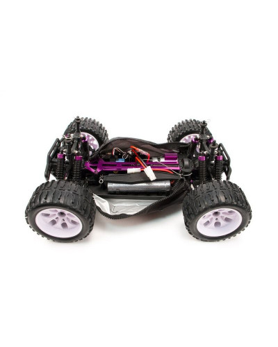 Чехол для HSP BRONTOSAURUS 1:10 зимний