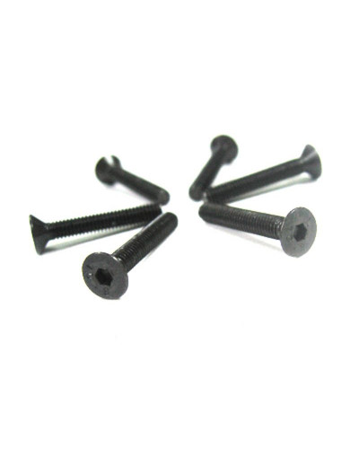 Винт с потайной головкой M4x26 под шестигранник, 6шт.